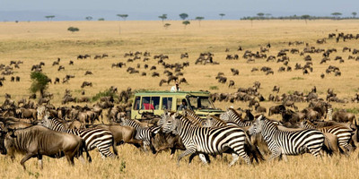 Ultimate 6-day kenya safari: masai mara, lakes nakuru & naivasha, and amboseli adventure - Photo 2