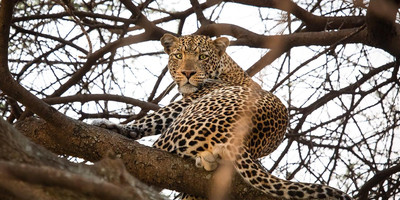 6 day tanzania camping safari - Photo 7