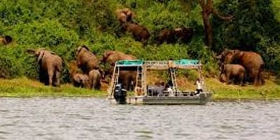 A 24 days birding and wildlife safari to uganda - Photo 3