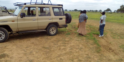 4 days safari tarangire national park, ngorongoro crater, serengeti national park - Photo 3