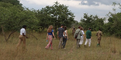 4 day murchison and chimpanzee trekking safari - Photo 2
