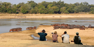 10 Nights – Zambia and Malawi - Photo 3