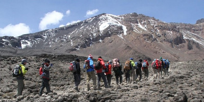 13 day gorilla, chimpanzee trekking and climbing rwenzori mountains adventure - Photo 8