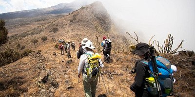 Mount kilimanjaro trekking via machame route - 7 day - Photo 5