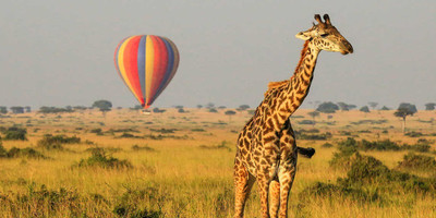 6 days adventure to the maasai mara - Photo 11