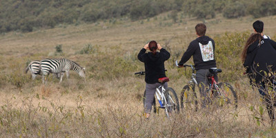 3 days breathtaking tour to lake mburo national park - Photo 8