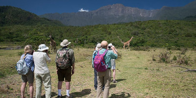 Arusha national park day tour - Photo 1