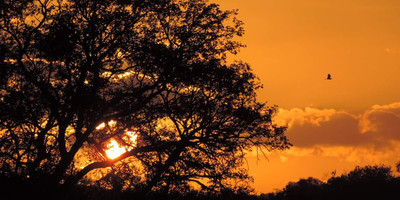 Ibubesi Full Kruger Tour - Photo 1