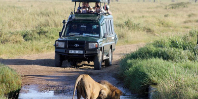 3 day mikumi luxury tented camps safari - Photo 2
