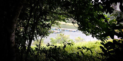 Rando bio à anyama - Photo 4