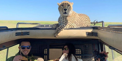 Taste of wildlife lodge safari in tanzania - Photo 3