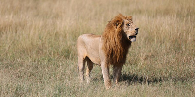 3 days safari tarangire, ngorongoro crater and lake manyara - Photo 7