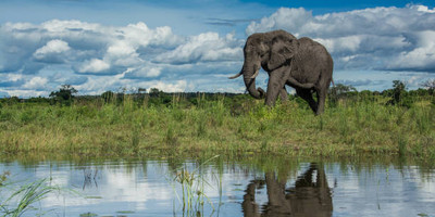 2 days safari in tarangire and ngorongoro - Photo 1