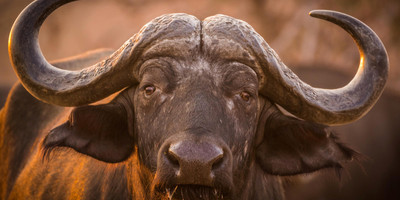 Tarangire, ngorongoro & lake manyara | 3 day - Photo 1