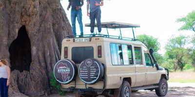 3 days tanzania camping safari - Photo 2