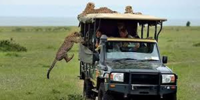 5 days kenya wilderness trails safari holiday package - Photo 1