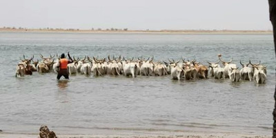 Bush and villages - a 8 day excursion around senegal out of dakar - Photo 1