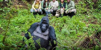 3 day gorilla trekking safari - Photo 2