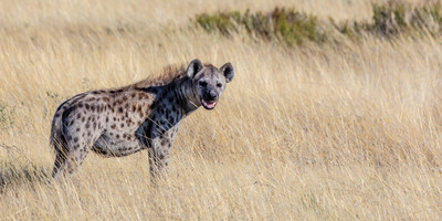 8 Days Taste of Namibia Safaris - Photo 6