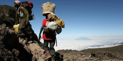Kilimanjaro trekking - Photo 7