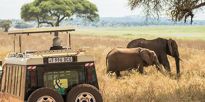  7 days andbeyond masai mara serengeti flying safari holiday package - Photo 4