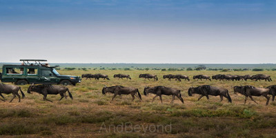 4 days masai mara camping safari adventure - Photo 4
