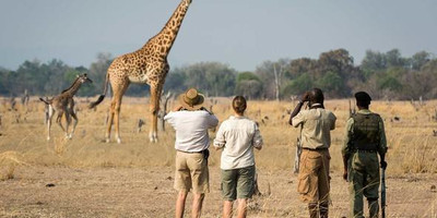 12 nights – Zambia and Zimbabwe Safari (luxury) - Photo 4