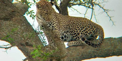 7 days kenya budget safari - Photo 4