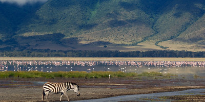 3 Day Safari to Ngorongoro Crater - Photo 2