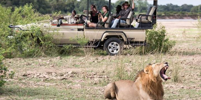 Kenya’s top safari adventure: 8 days of game drives & breathtaking views - Photo 5
