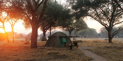 3 days tanzania northern safari - Photo 6