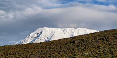 Affordable 6 days machame route kilimanjaro climb - Photo 5