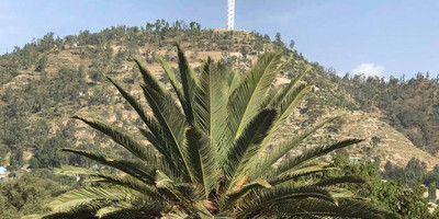 Mekele city tour - Photo 1