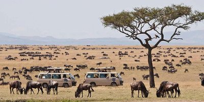4 days lake nakuru masai mara camping safari - Photo 1