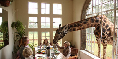 4 days kenya family holiday safari package - Photo 4