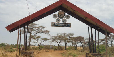 5 days tanzania private safari - Photo 1
