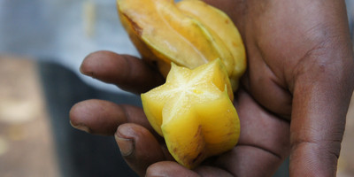 4- days zanzibar package - Photo 1