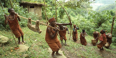 3 days golden monkeys, batwa cultural experience & lake bunyonyi - Photo 2