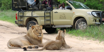 Mosi-oa-tunya national park, livingstone – game drive - Photo 3