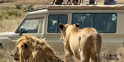 5-day amboseli, tsavo west & tsavo east safari – explore kenya’s wildlife - Photo 1