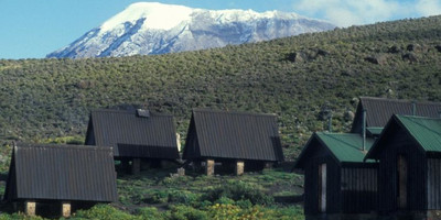 7 days lemosho route kilimanjaro climb - Photo 12