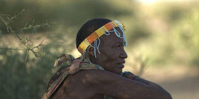 7 days tanzania wildlife migrations adventures safari holiday - Photo 1