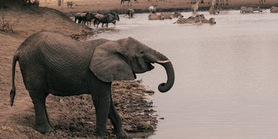 4-day tanzania camping safari - Photo 6