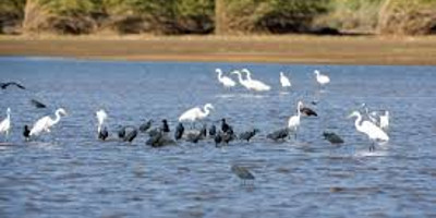Discover east of madagascar pangalane channel - Photo 2