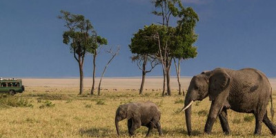3 Days On Budget Safari - Photo 2