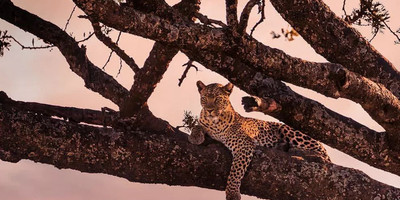 5 day tanzania camping safari - Photo 6