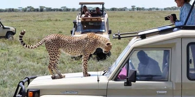 11 DAY SAFARI AND ZANZIBAR VACATION - Photo 4