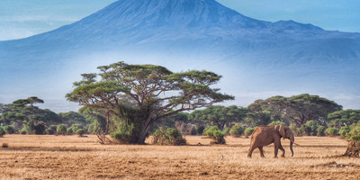 Unforgetable combined safari - Photo 3