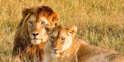 3-day tanzania camping safari - Photo 10