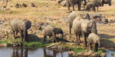 4 Day Safari to Ruaha National Park - Photo 3